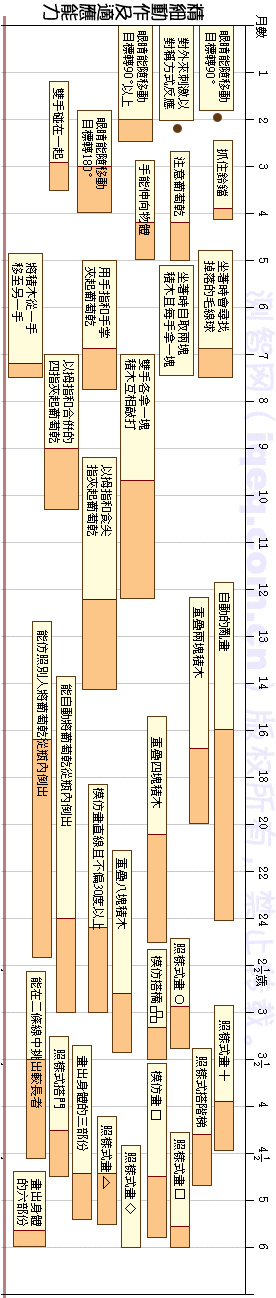 DDST 精细动作—适应性能区