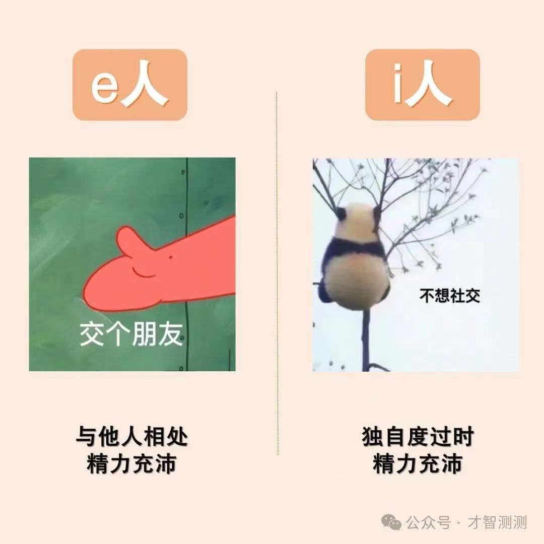 e人还是i人